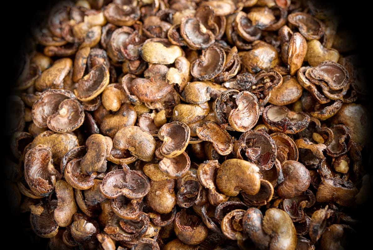 Cashew Shell